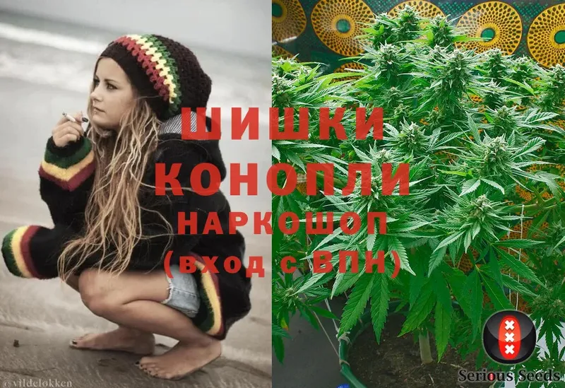 Бошки марихуана OG Kush  Нолинск 